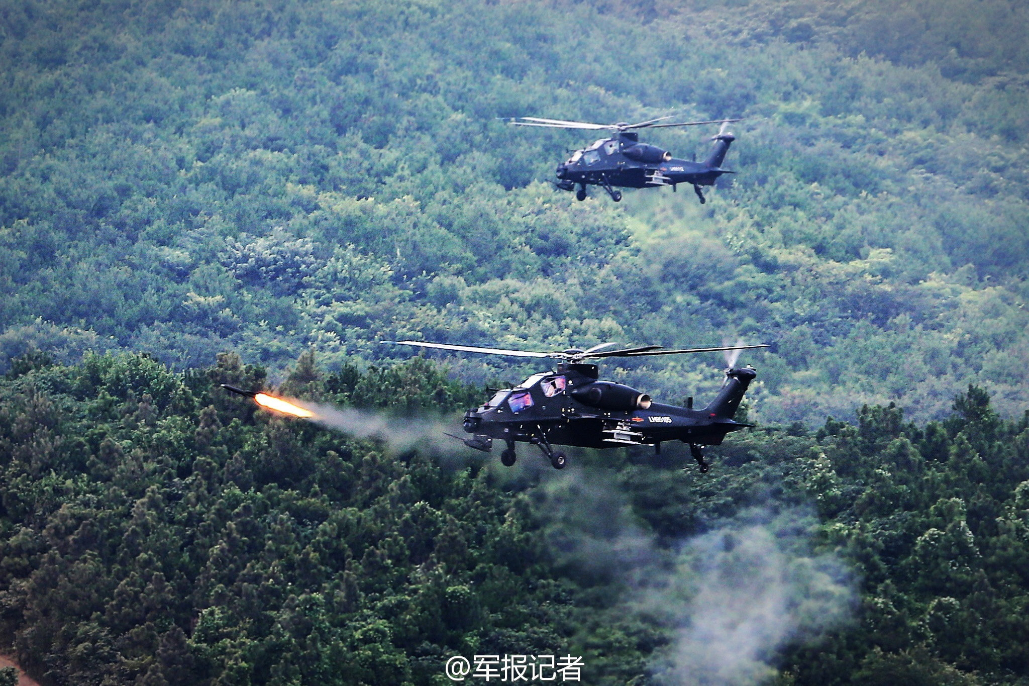 肉鸡市场周度行情：毛鸡价格止跌调整 苗价低位反弹（0707-0713） 